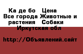 Ка де бо › Цена ­ 25 - Все города Животные и растения » Собаки   . Иркутская обл.